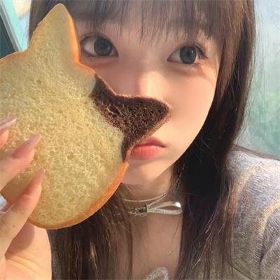 极岛森林第二季